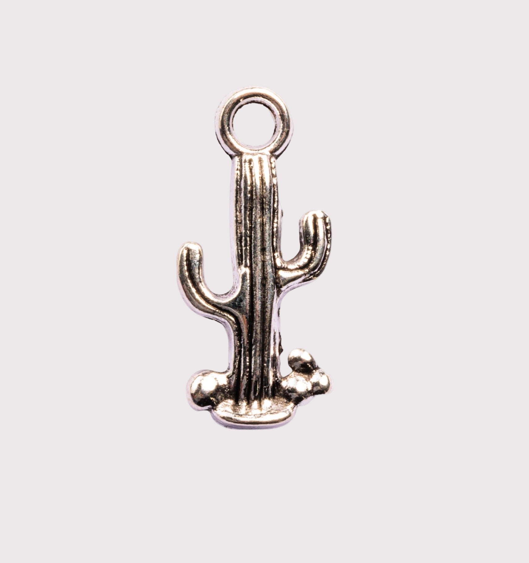 Cactus Charm
